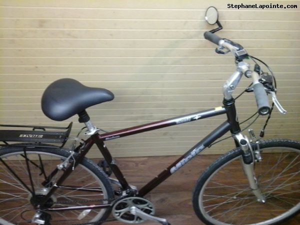 Vélo Miele Tivoli - StephaneLapointe.com