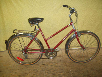 Vélo Raleigh Safari - StephaneLapointe.com