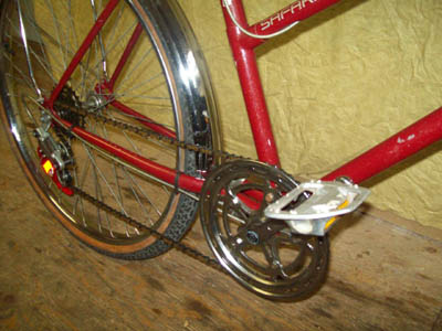 Vélo Raleigh Safari - StephaneLapointe.com