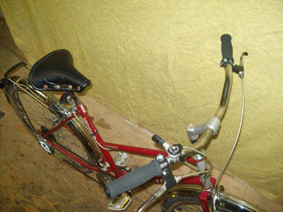 Vélo Raleigh Safari - StephaneLapointe.com
