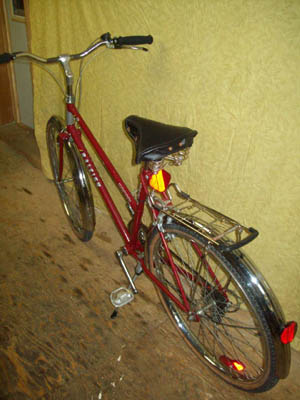 Vélo Raleigh Safari - StephaneLapointe.com