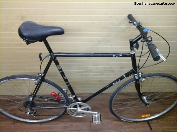 Vélo Raleigh Grand Prix - StephaneLapointe.com