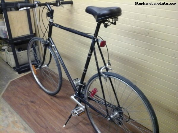 Vélo Raleigh Grand Prix - StephaneLapointe.com