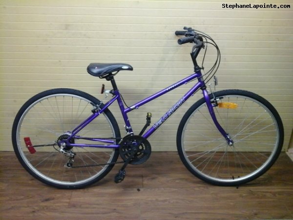 Vélo Velo Sport Express - StephaneLapointe.com