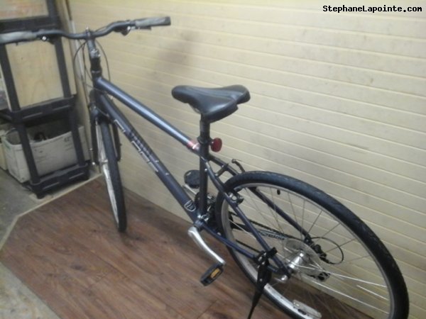 Vélo Specialized Globe - StephaneLapointe.com