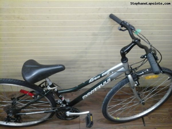 Vélo Bonelli Lite 300 - StephaneLapointe.com