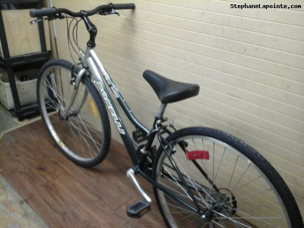 Vélo Bonelli Lite 300 - StephaneLapointe.com