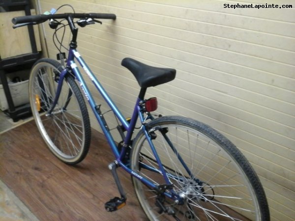 Vélo Norco Arctic - StephaneLapointe.com