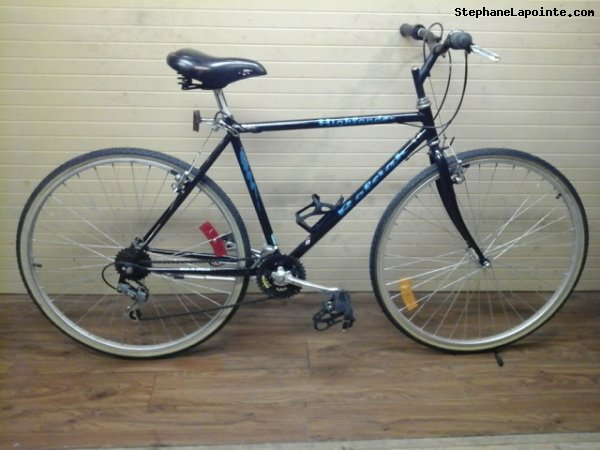 Vélo Raleigh Highlander - StephaneLapointe.com