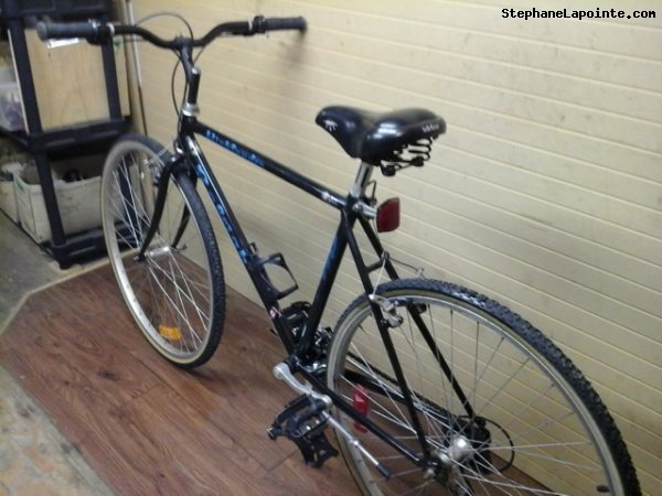 Vélo Raleigh Highlander - StephaneLapointe.com