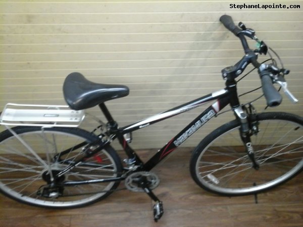Vélo Nakamura Royal - StephaneLapointe.com