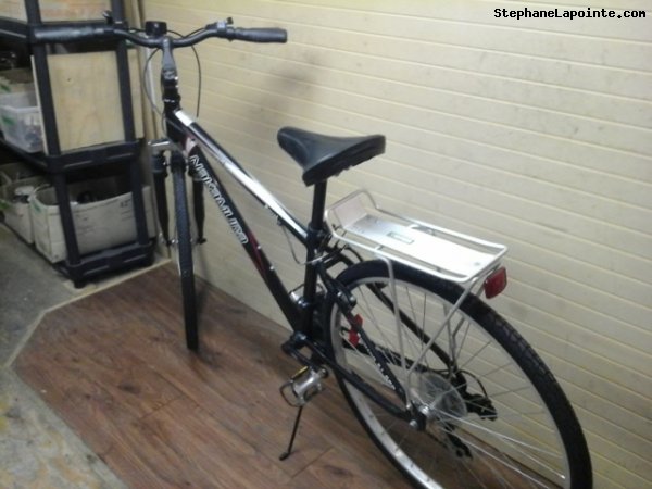 Vélo Nakamura Royal - StephaneLapointe.com
