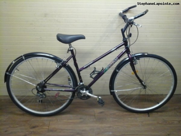 Vélo Minelli Mojave - StephaneLapointe.com