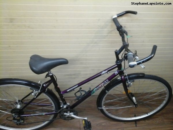 Vélo Minelli Mojave - StephaneLapointe.com
