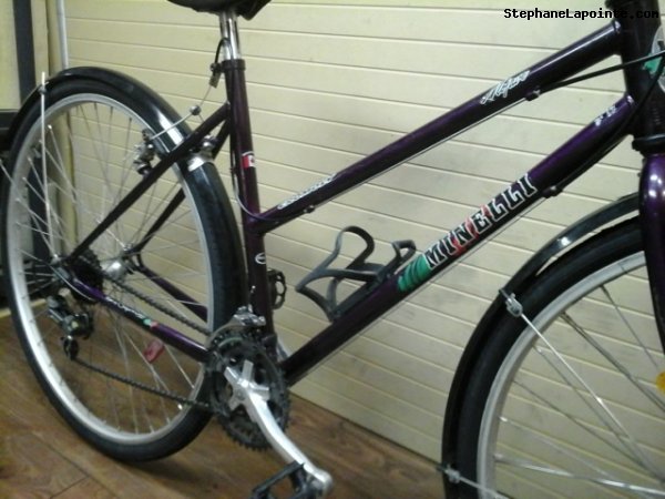 Vélo Minelli Mojave - StephaneLapointe.com