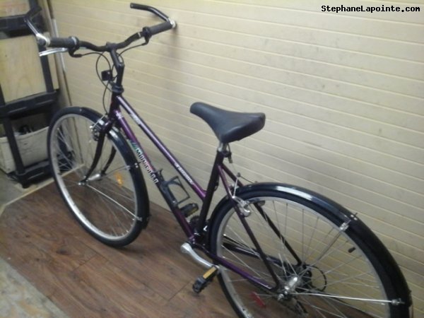 Vélo Minelli Mojave - StephaneLapointe.com