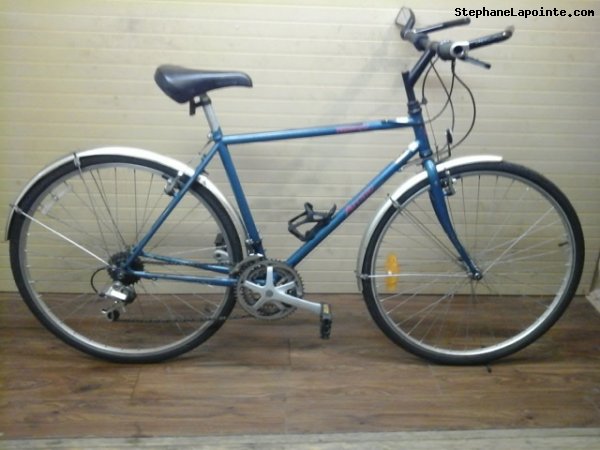 Vélo Norco Arctic - StephaneLapointe.com