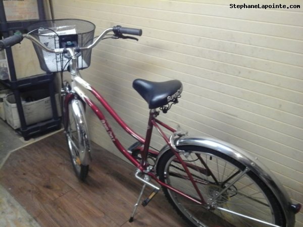 Vélo Supercycle Classic - StephaneLapointe.com