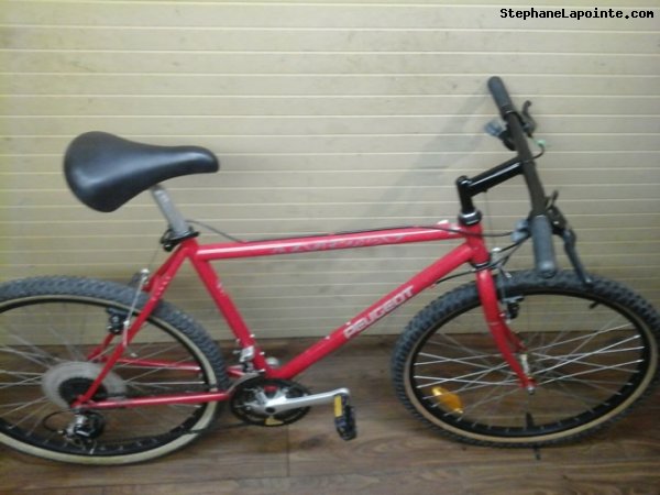 Vélo Peugeot Azur - StephaneLapointe.com