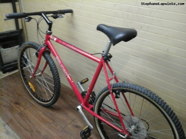 Vélo Peugeot Azur - StephaneLapointe.com