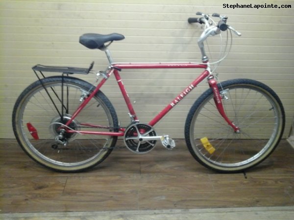 Vélo Raleigh Rocky II - StephaneLapointe.com