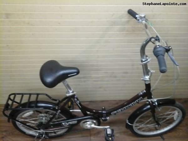 Vélo Schwinn Tango - StephaneLapointe.com