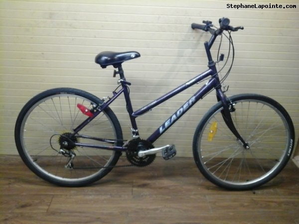 Vélo Leader Mondial - StephaneLapointe.com
