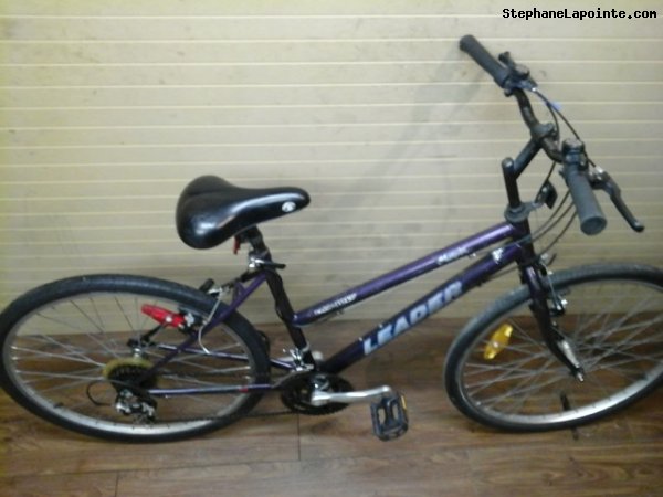 Vélo Leader Mondial - StephaneLapointe.com