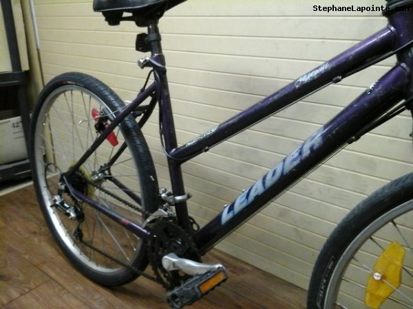 Vélo Leader Mondial - StephaneLapointe.com