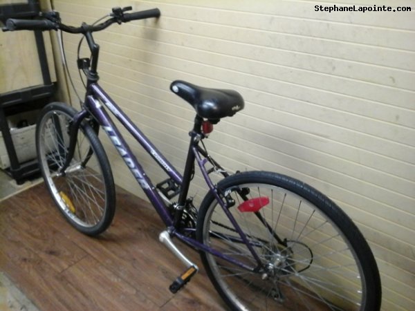 Vélo Leader Mondial - StephaneLapointe.com