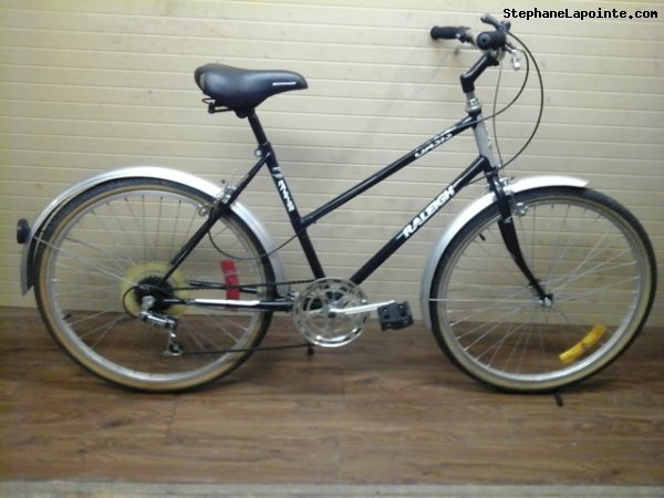 Vélo Raleigh Oasis - StephaneLapointe.com