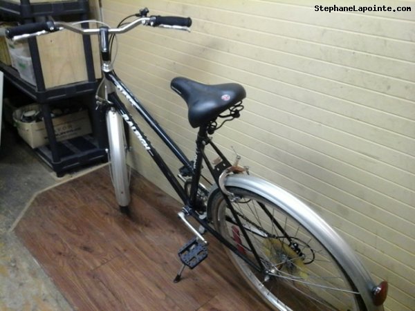 Vélo Raleigh Oasis - StephaneLapointe.com