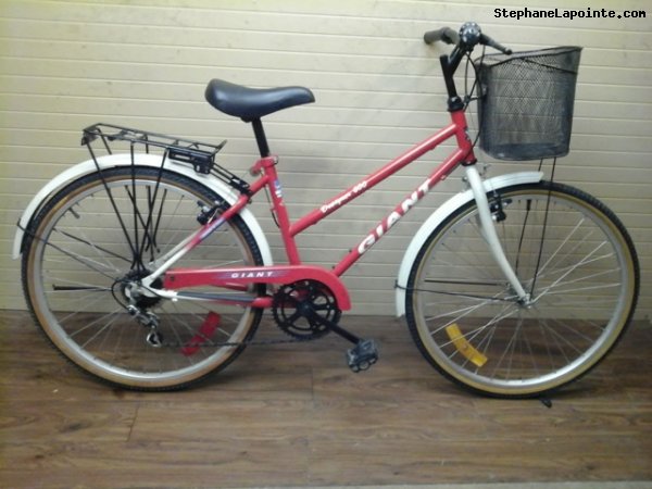 Vélo Giant Designer 600 - StephaneLapointe.com