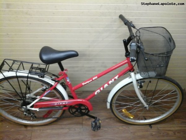 Vélo Giant Designer 600 - StephaneLapointe.com