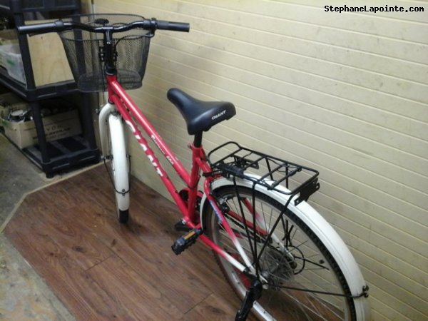 Vélo Giant Designer 600 - StephaneLapointe.com
