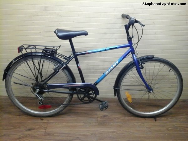 Vélo Giant Designer - StephaneLapointe.com