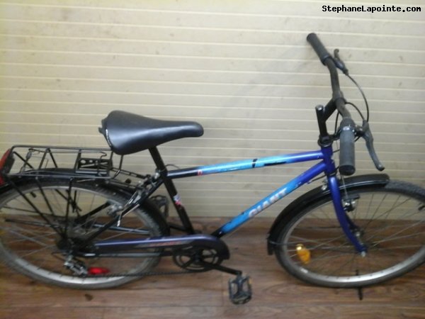 Vélo Giant Designer - StephaneLapointe.com