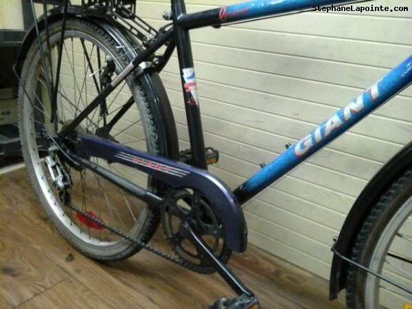 Vélo Giant Designer - StephaneLapointe.com