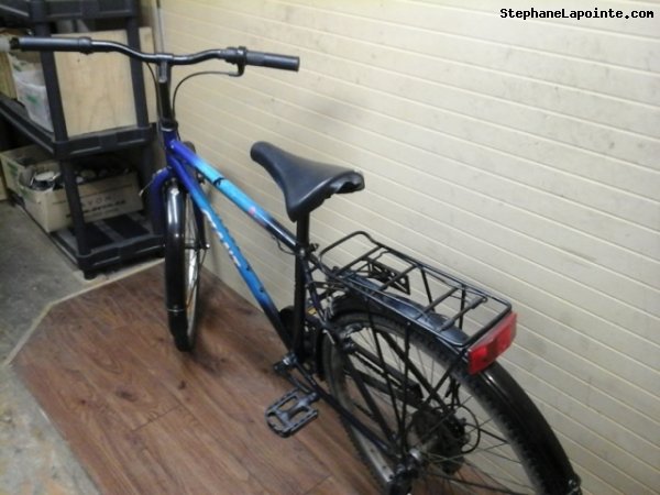 Vélo Giant Designer - StephaneLapointe.com