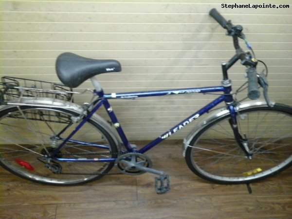 Vélo Leader LE 70720 - StephaneLapointe.com