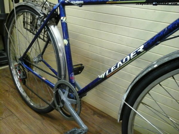 Vélo Leader LE 70720 - StephaneLapointe.com