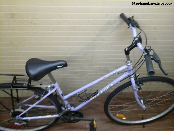 Vélo Leader LE 70746 - StephaneLapointe.com