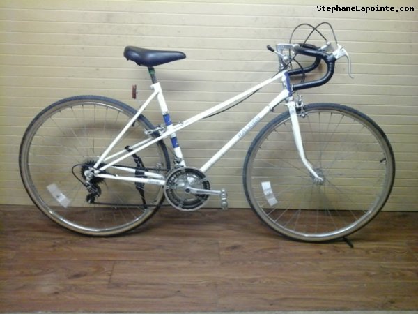 Vélo Raleigh Record - StephaneLapointe.com
