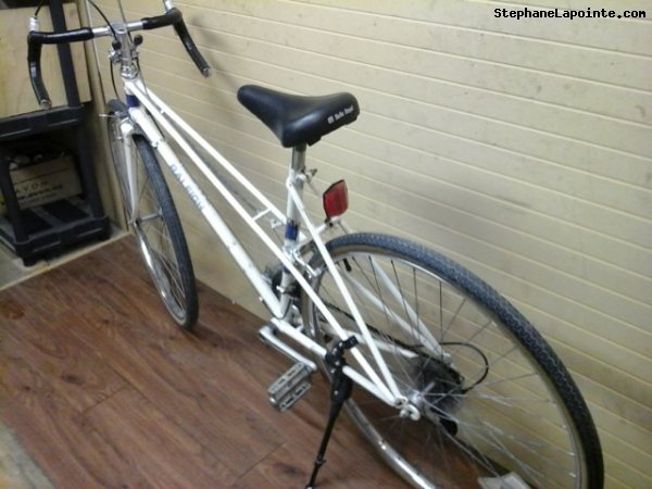 Vélo Raleigh Record - StephaneLapointe.com