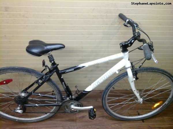 Vélo Mikado Rosemont - StephaneLapointe.com