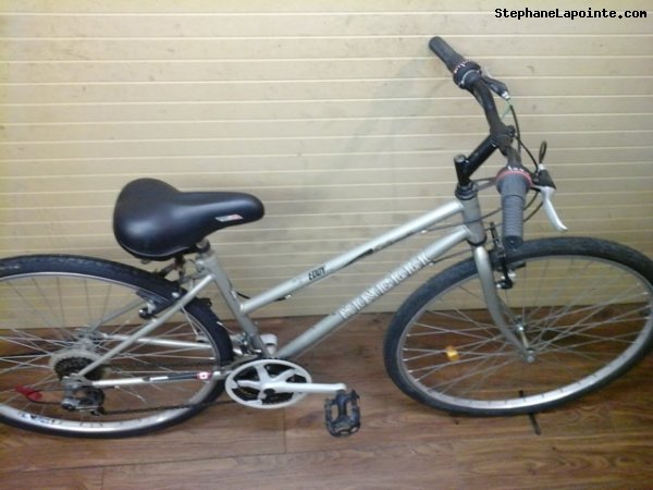 Vélo Minelli Silhouette - StephaneLapointe.com