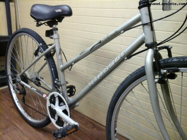 Vélo Minelli Silhouette - StephaneLapointe.com