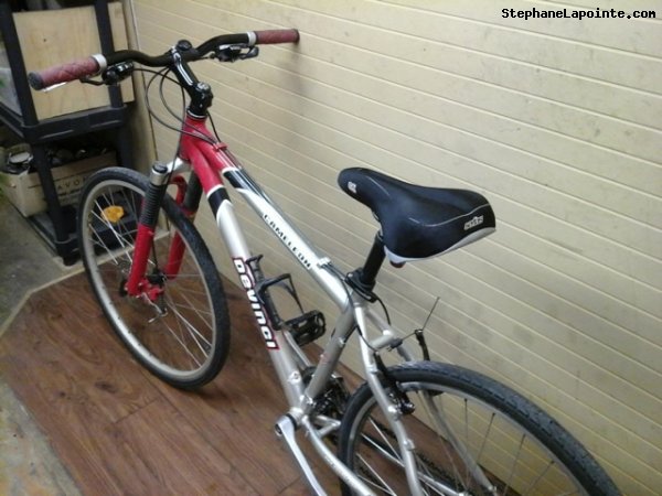 Vélo Devinci Cameleon - StephaneLapointe.com