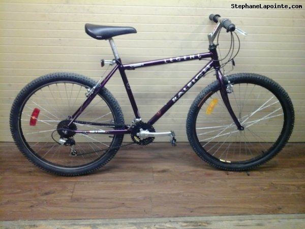 Vélo Raleigh Legend - StephaneLapointe.com