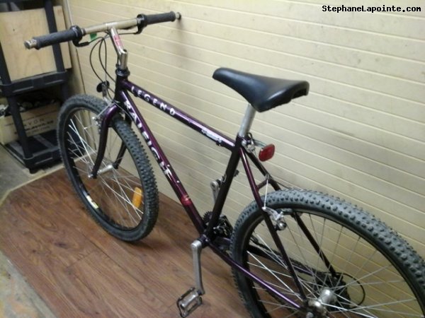 Vélo Raleigh Legend - StephaneLapointe.com